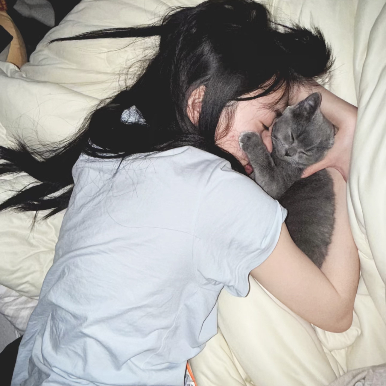 Fancy Ice Cream Cupcakes